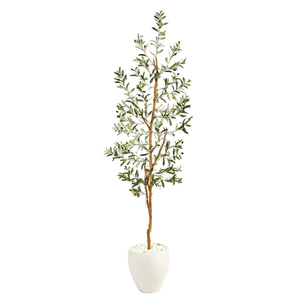 6’ Olive Artificial Tree in White Planter | Rental