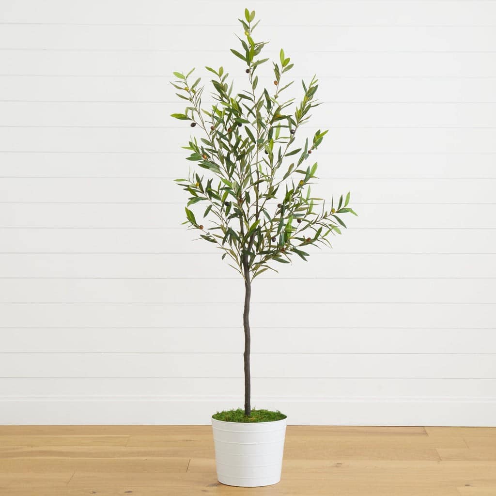 70” Olive Artificial Tree in White Tin Planter | Rental