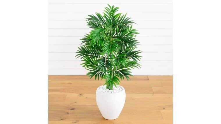 4’ Areca Artificial Palm Tree in White Planter | Rental 4’ Areca Artificial Palm Tree in White Planter | Rental