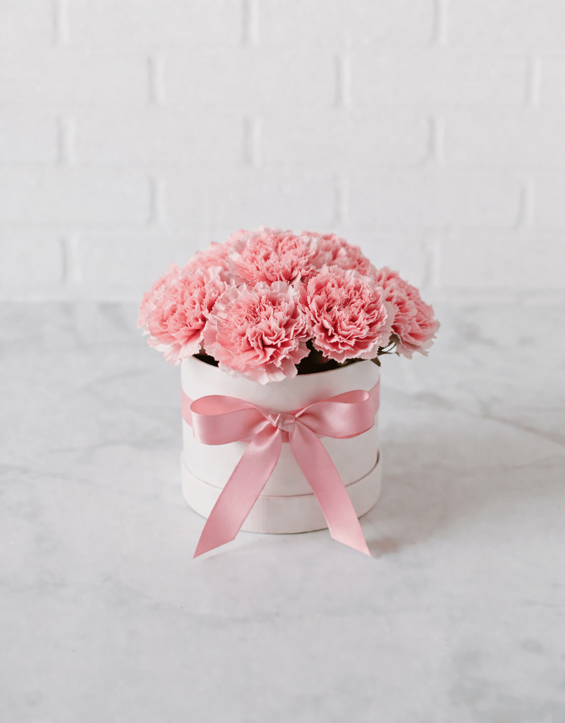 Carnations Bloom Box | Purchase Carnations Bloom Box | Purchase