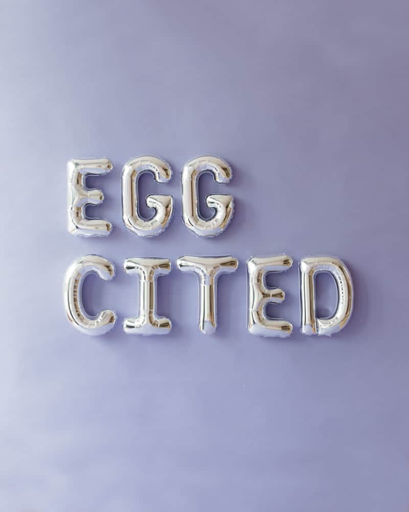 16in Silver EGGCITED Foil Letters Set | Rental 16in Silver EGGCITED Foil Letters Set | Rental