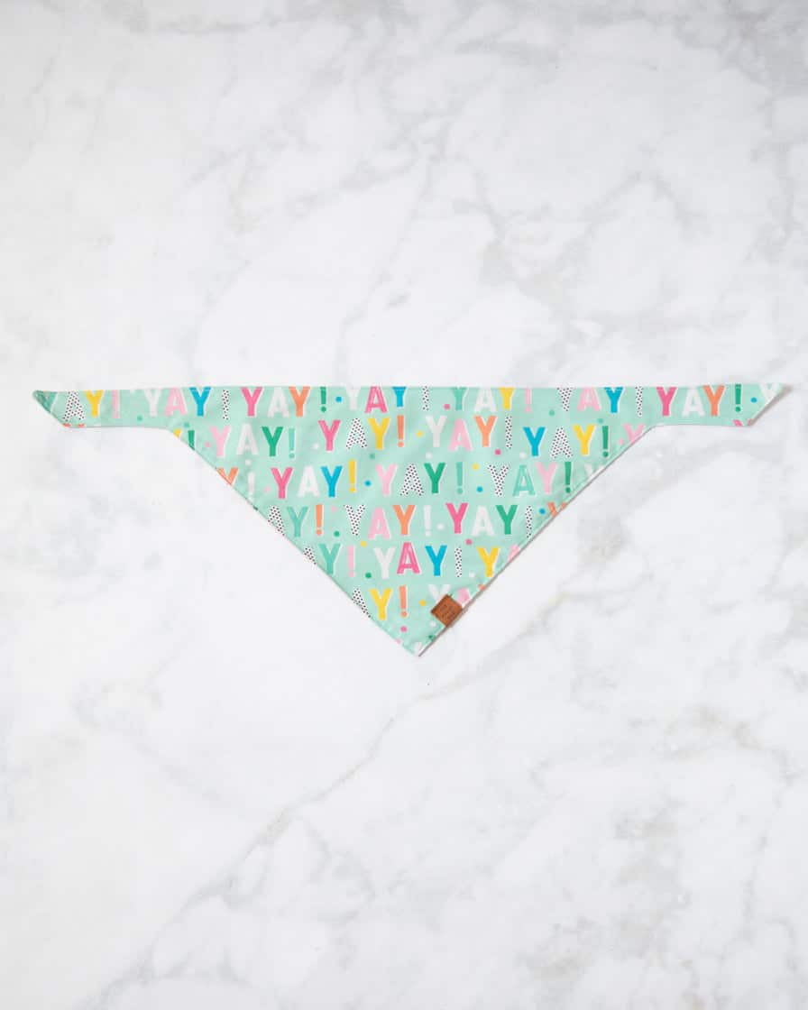 Foggy Dog – Birthday Yay Aqua Dog Bandana (Reversible) | Rental